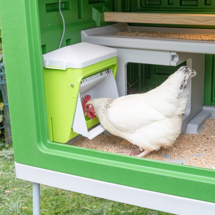 Foderautomat höns