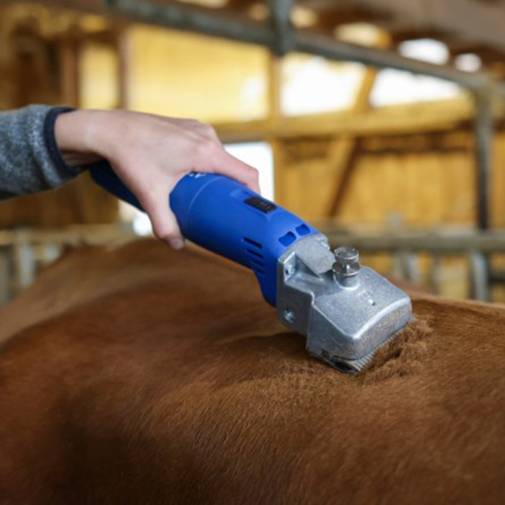 Klippmaskin för nötkreatur, Aesculap Econom II