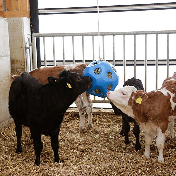 Höboll till häst, blå