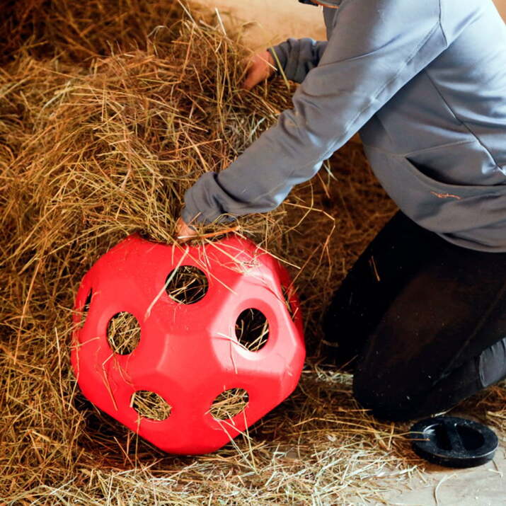 Höboll till häst, blå