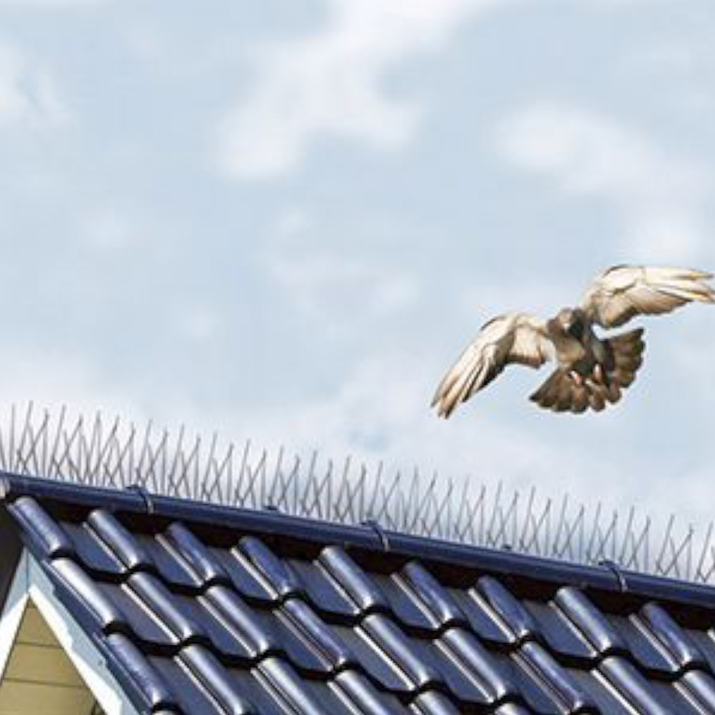 Fågelpiggar Ryom 10 st a 25 cm