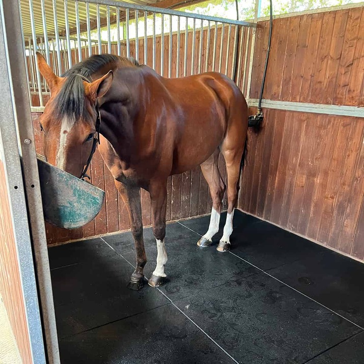 Stallmatta 20 mm, 1 x 1 m