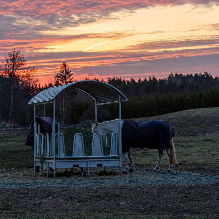 Foderhäck med tak och täckta bogstöd för häst