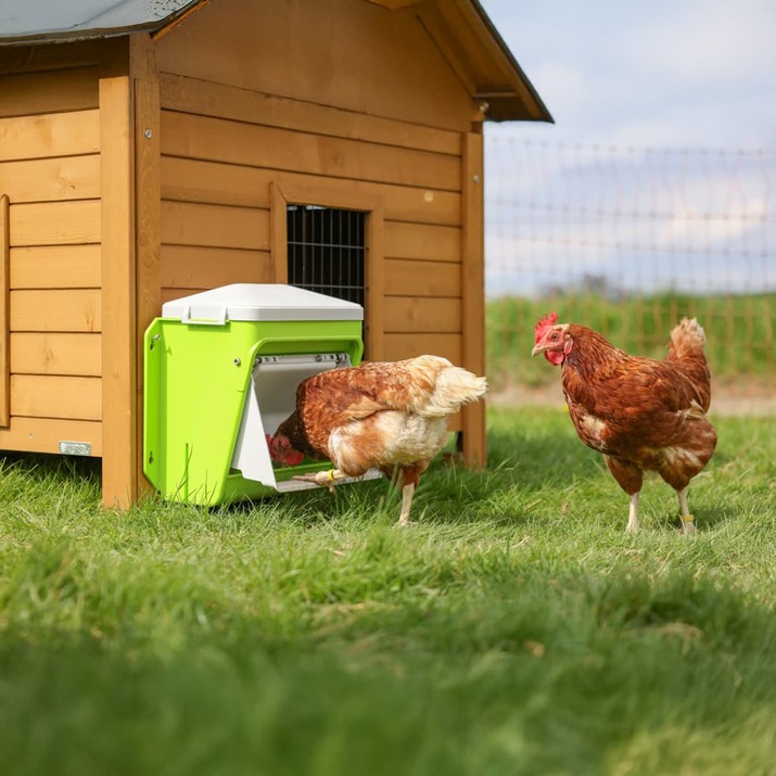 Foderautomat höns