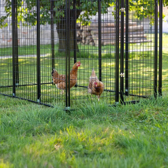 Hönsgård till Hönshus Torn