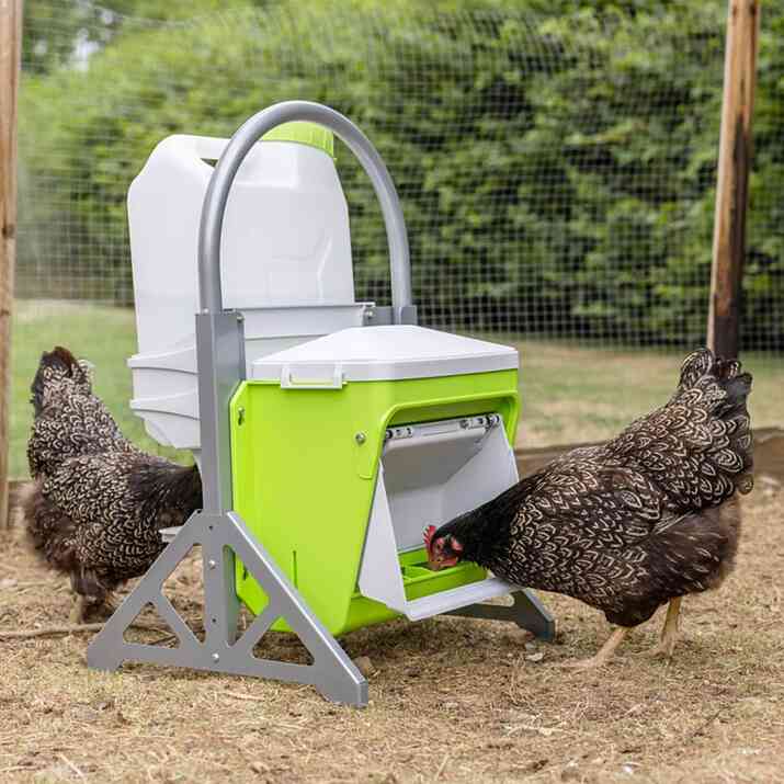 Ställ för vattenautomat och foderautomat höns