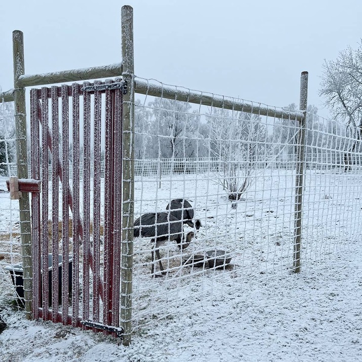 Viltstängsel 100 m x 2.0 m x 2 mm
