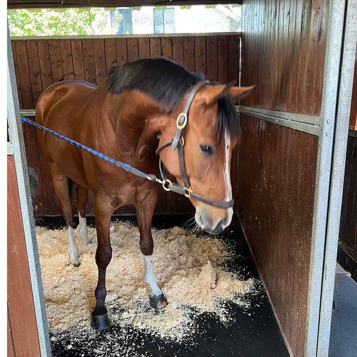 Stallmatta 20 mm, 1 x 1 m