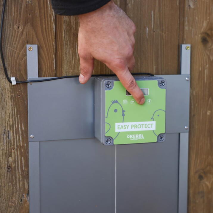 Automatisk lucköppnare, för höns