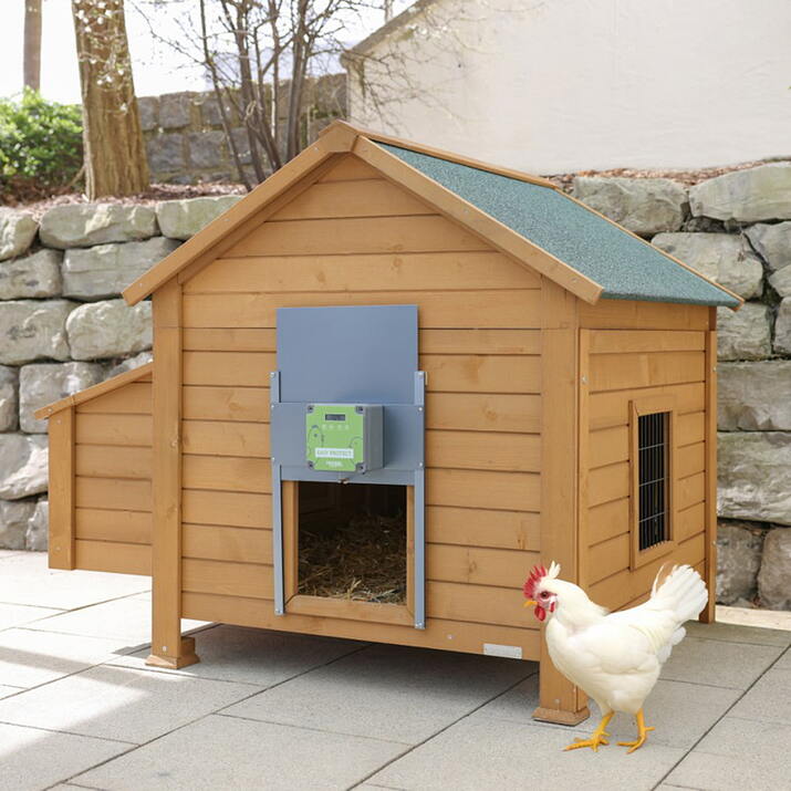 Automatisk lucköppnare, för höns