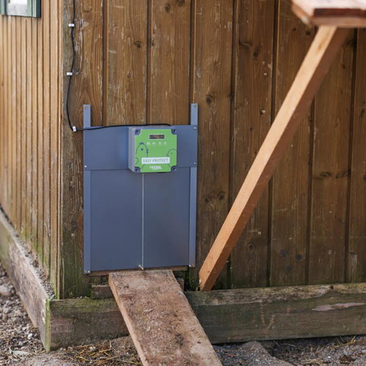 Automatisk lucköppnare, för höns